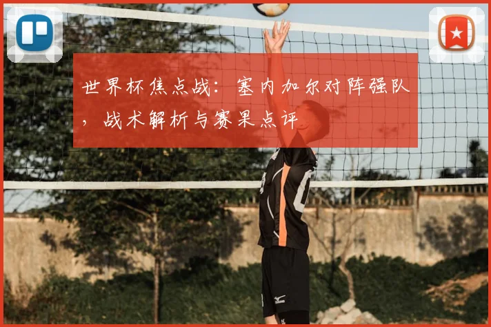 世界杯焦点战:塞内加尔对阵强队,战术解析与赛果点评