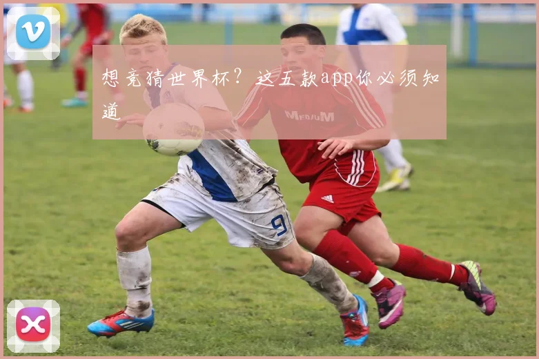 想竞猜世界杯？这五款app你必须知道