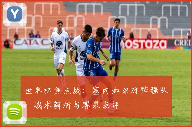 世界杯焦点战:塞内加尔对阵强队,战术解析与赛果点评