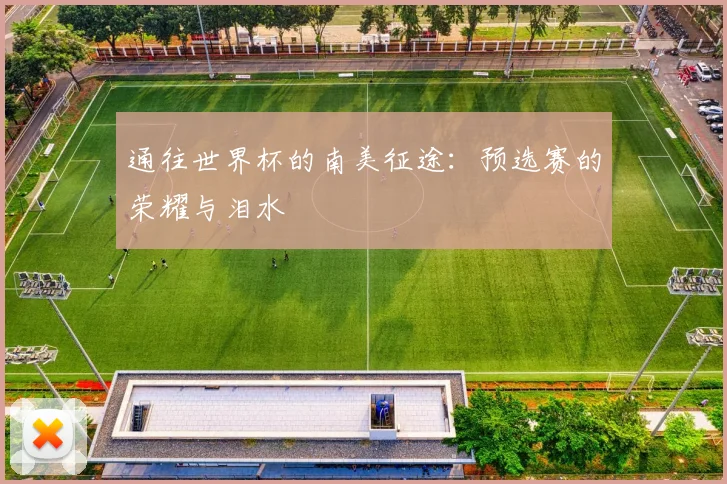 通往世界杯的南美征途：预选赛的荣耀与泪水