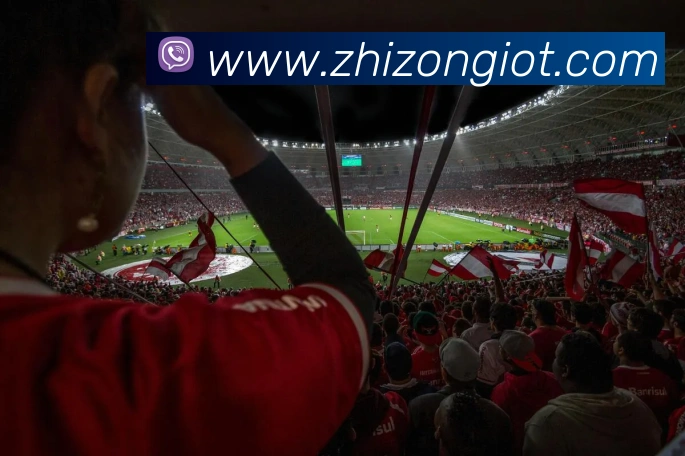 华体官网登录入口平台发展历程