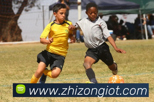 多媒体互动体验